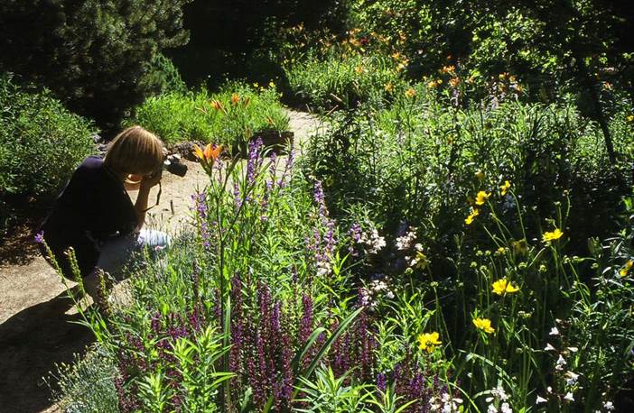 Native garden